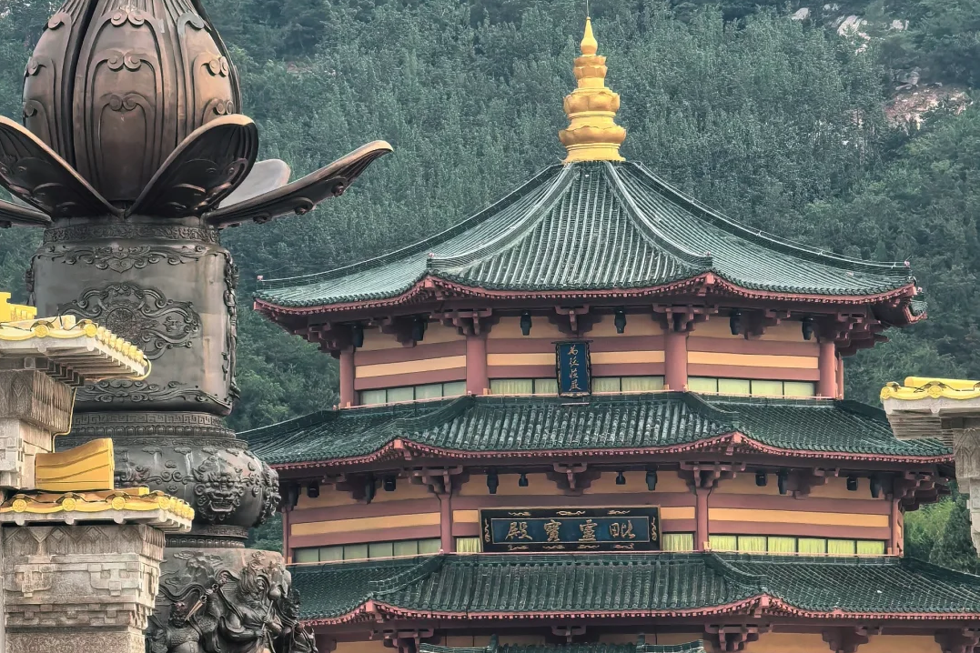 00000000JLTpdinSauDyYxoO