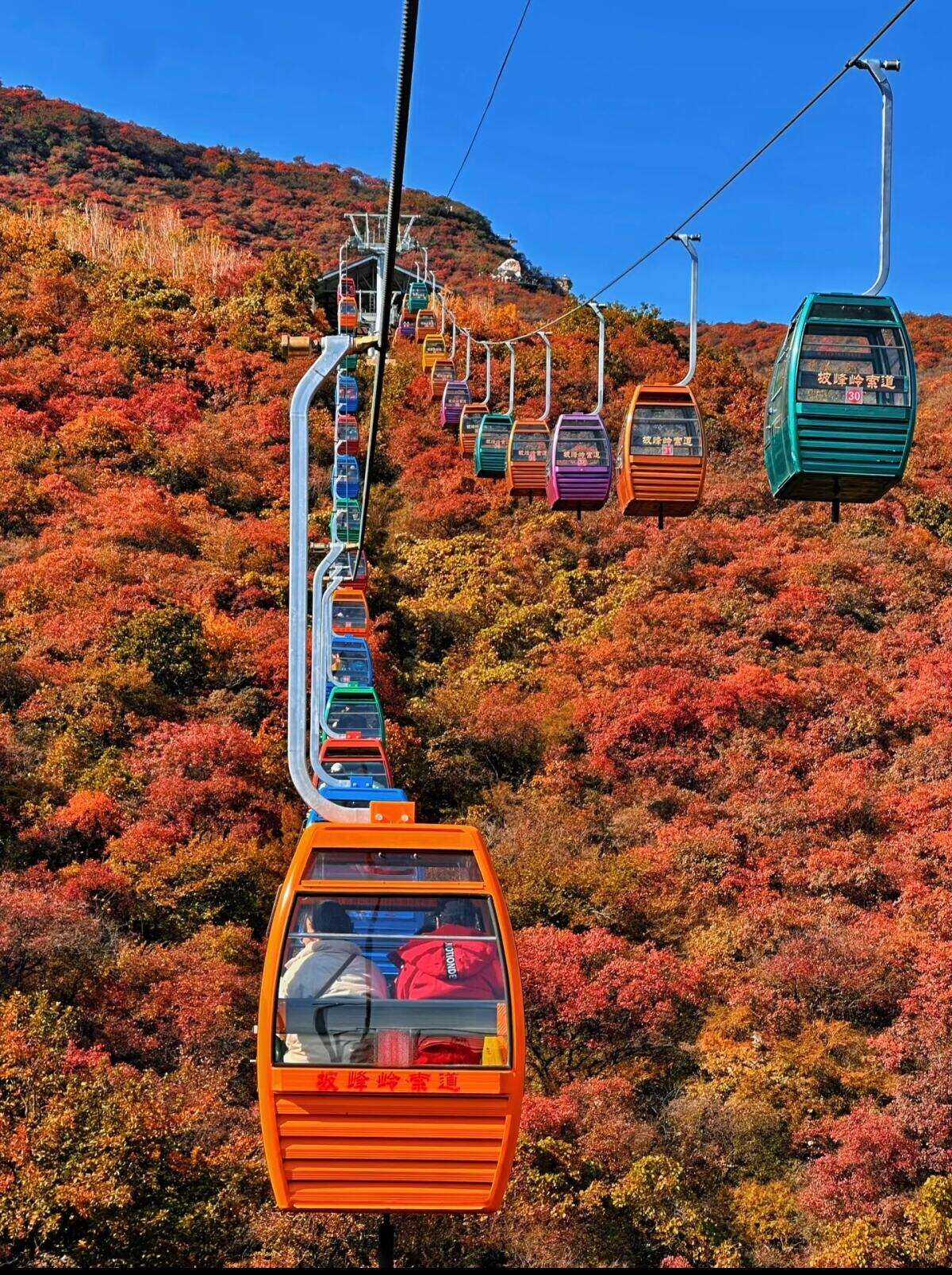 00000000JTKfmiODINengvzT-1