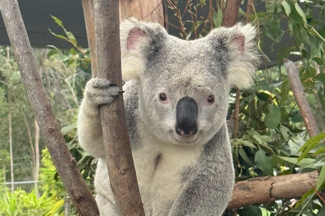 00000000KIFozlyQduiuEoNp