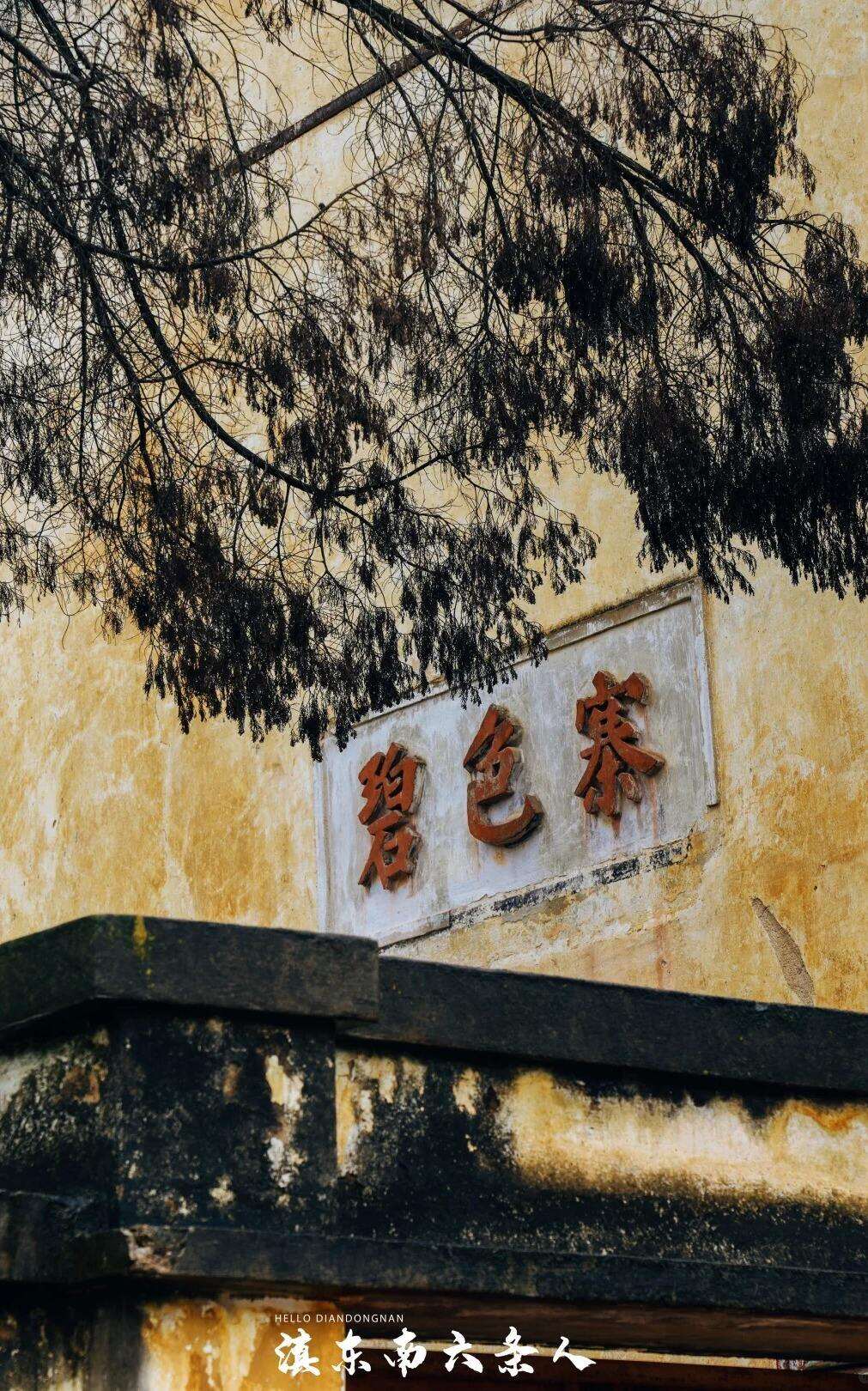 00000000KKuzTgVwwSSFCwXb