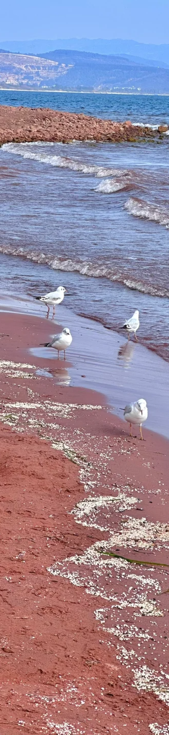 00000000KQVOGxGQiqIhfWFl