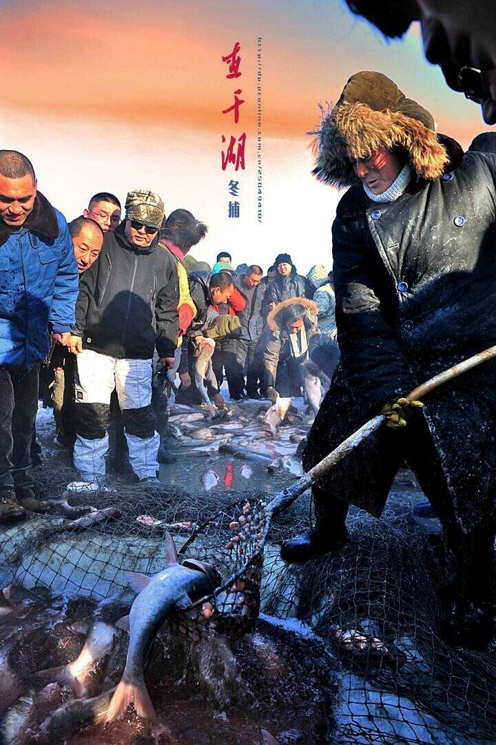 00000000LPxsIyqcGFMpQCps