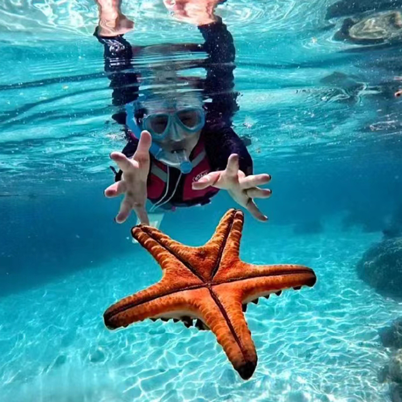 00000000LulLWHMeMsYBWRbE 00000000LulLWHMeMsYBWRbE