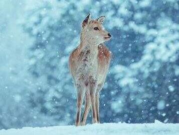 00000000McvOqrJJyrWPtaHE