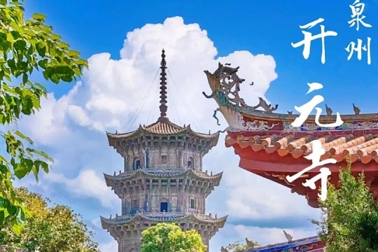 00000000MlWMybDPkntTdumo