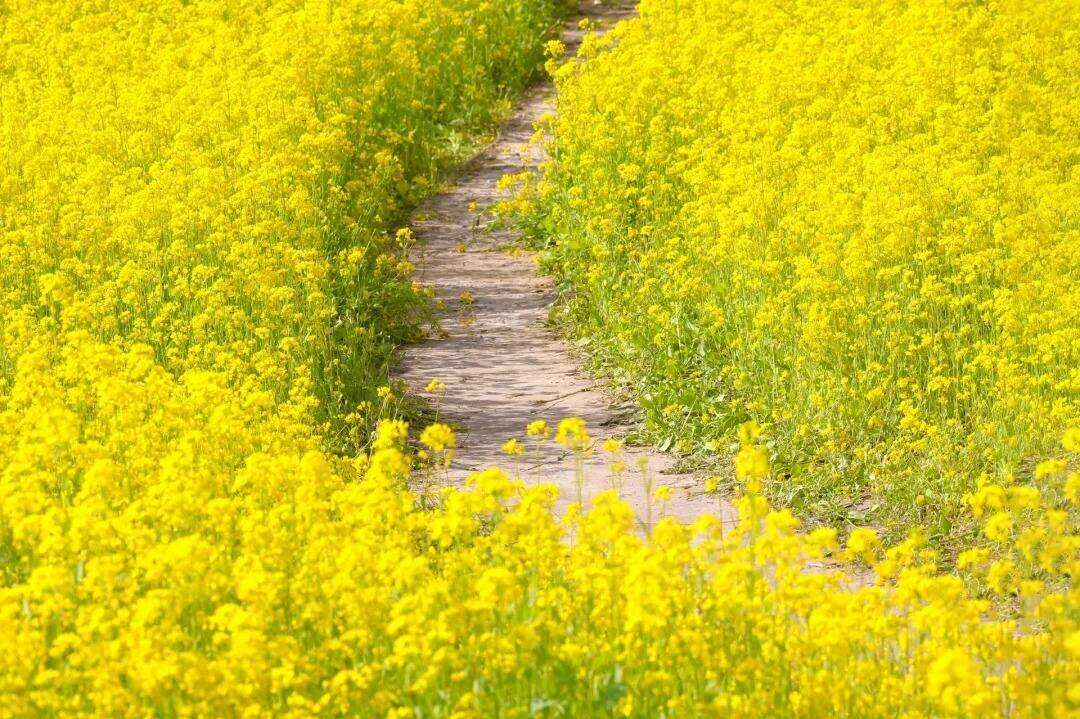 00000000MuHzIUxvXRCbNewo