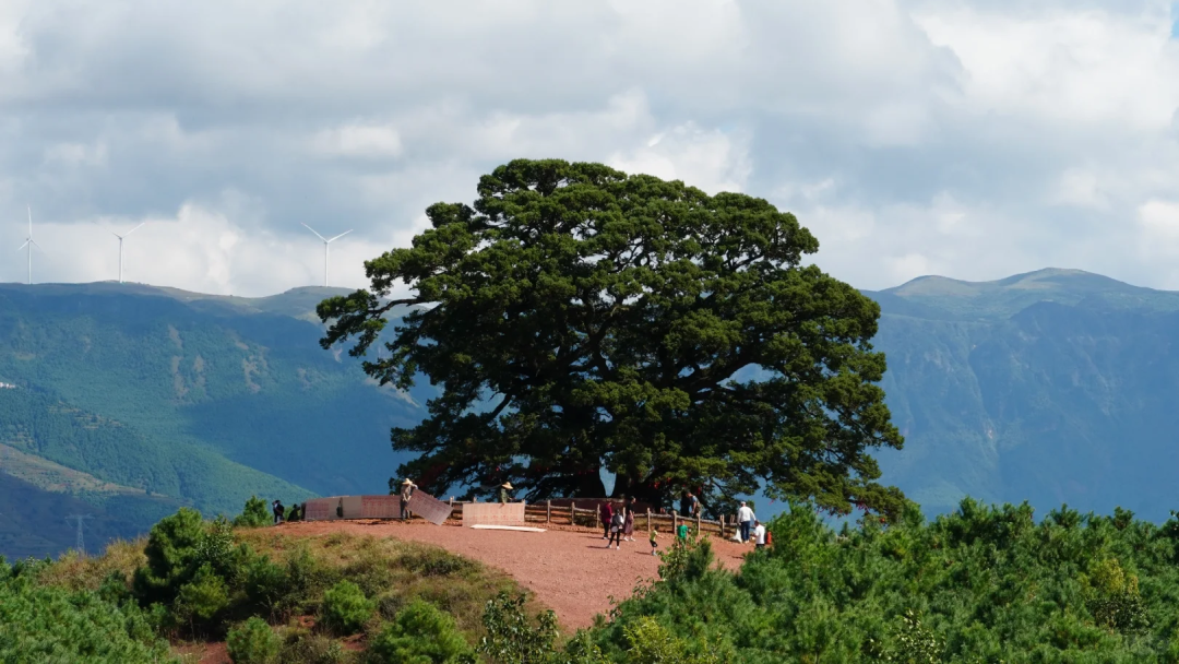 00000000NchGUybxGPybirxc