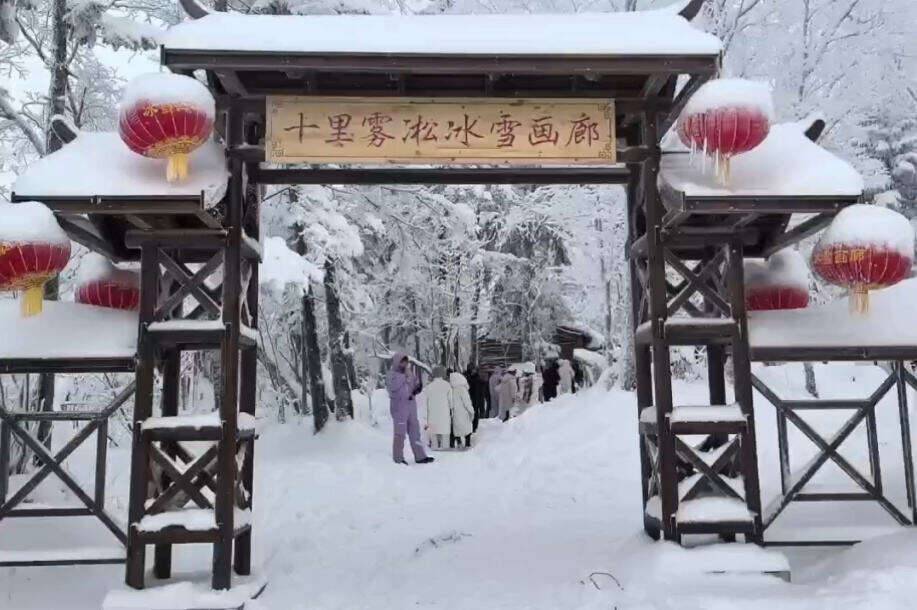 00000000OIGVYtIvmfswtwVe