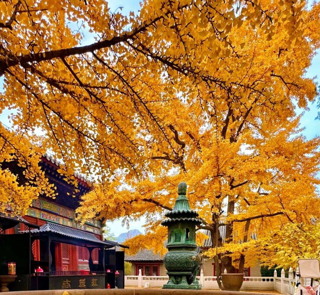 00000000PBfuaazLbdEoBMCz