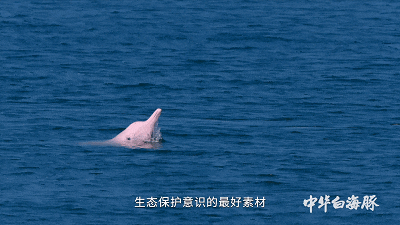 【广西+越南环游双卧10天2280元】下龙·穿越河内·浪漫海滨北海·赠送7早9正餐+安排特色海鲜大咖+越南簸箕宴