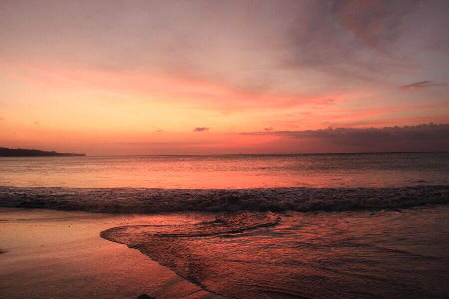 00000000PZyFoRRPJynieUrC