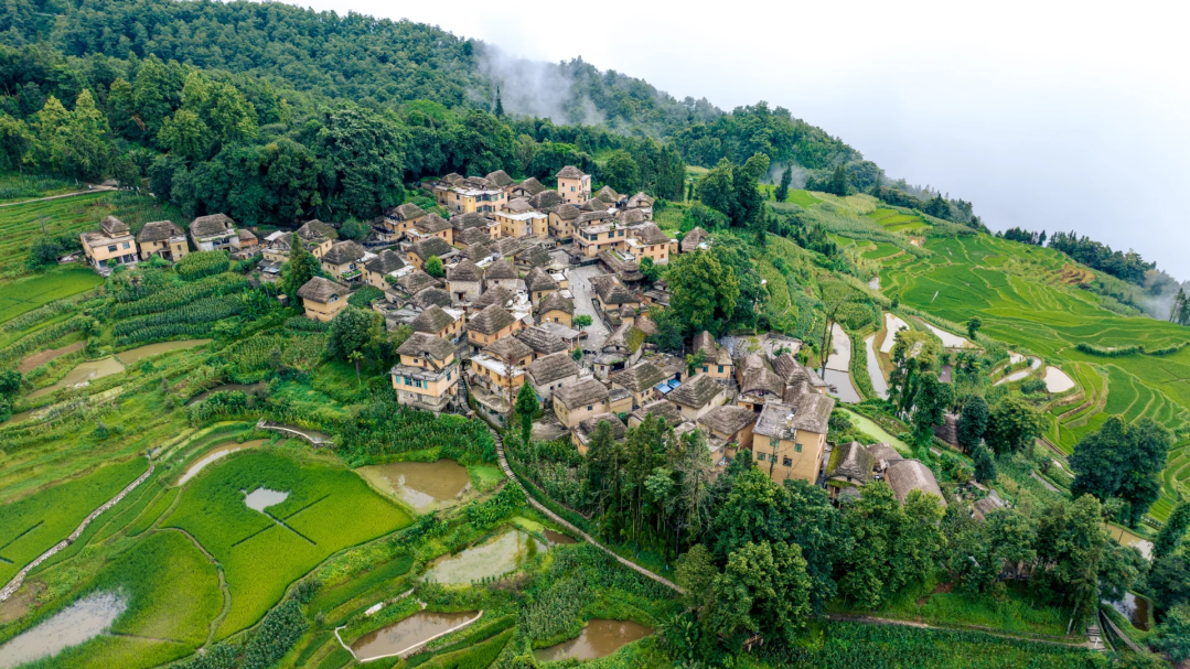 00000000PqEgfSZyJuccNuvF