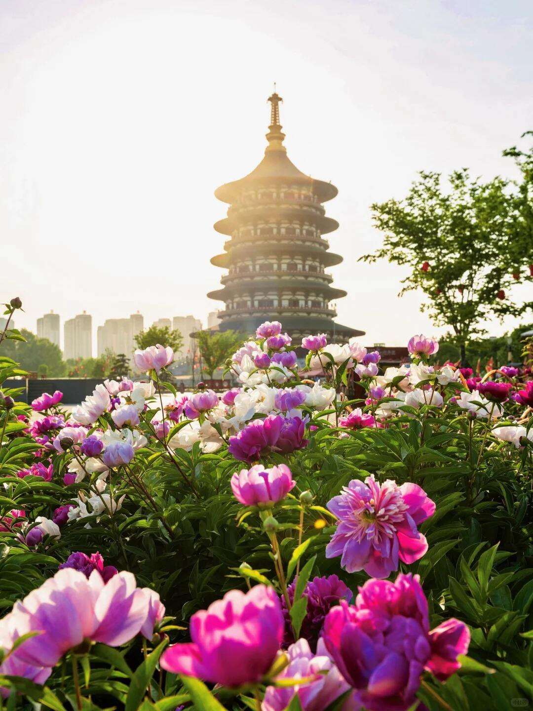 00000000QKZZhqSlpLFwmPcw 00000000QKZZhqSlpLFwmPcw