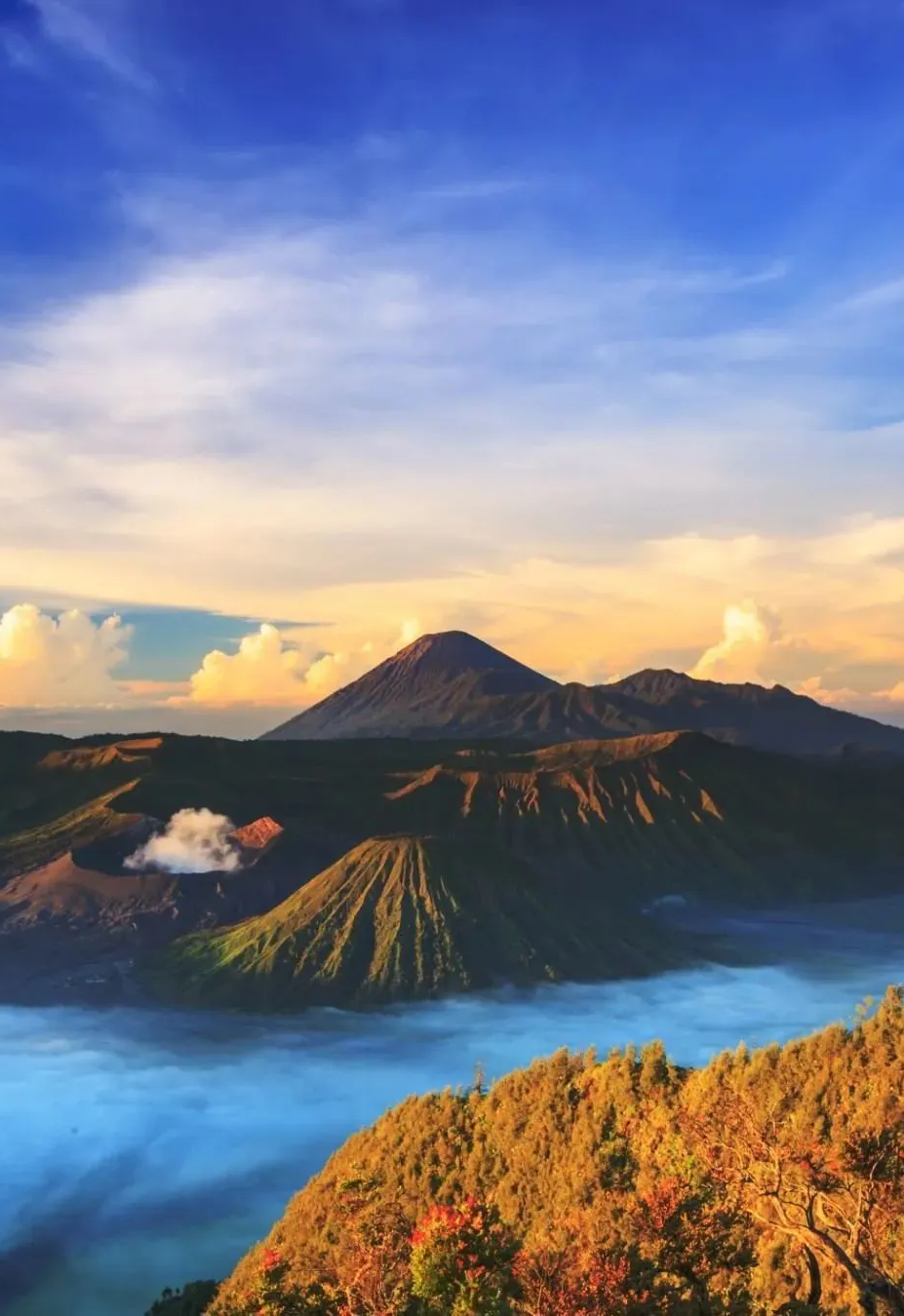 00000000QgdrydLuJiZODCxa 00000000QgdrydLuJiZODCxa