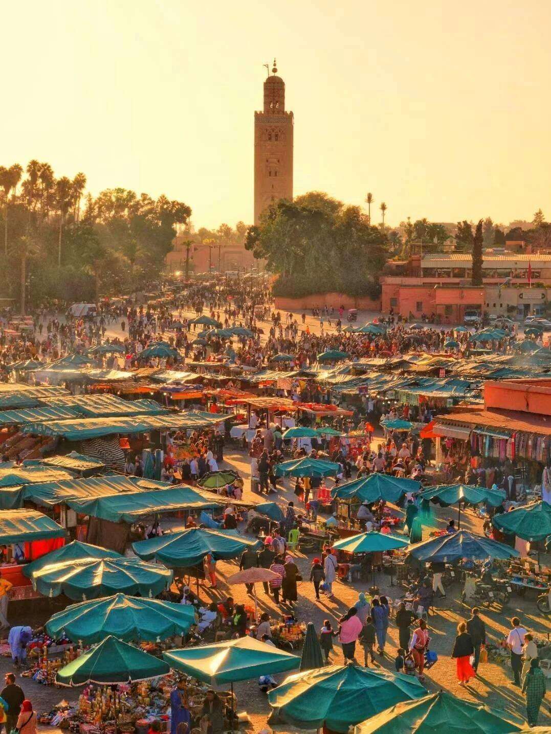 00000000RYScSoPIRvhNbMYR 00000000RYScSoPIRvhNbMYR