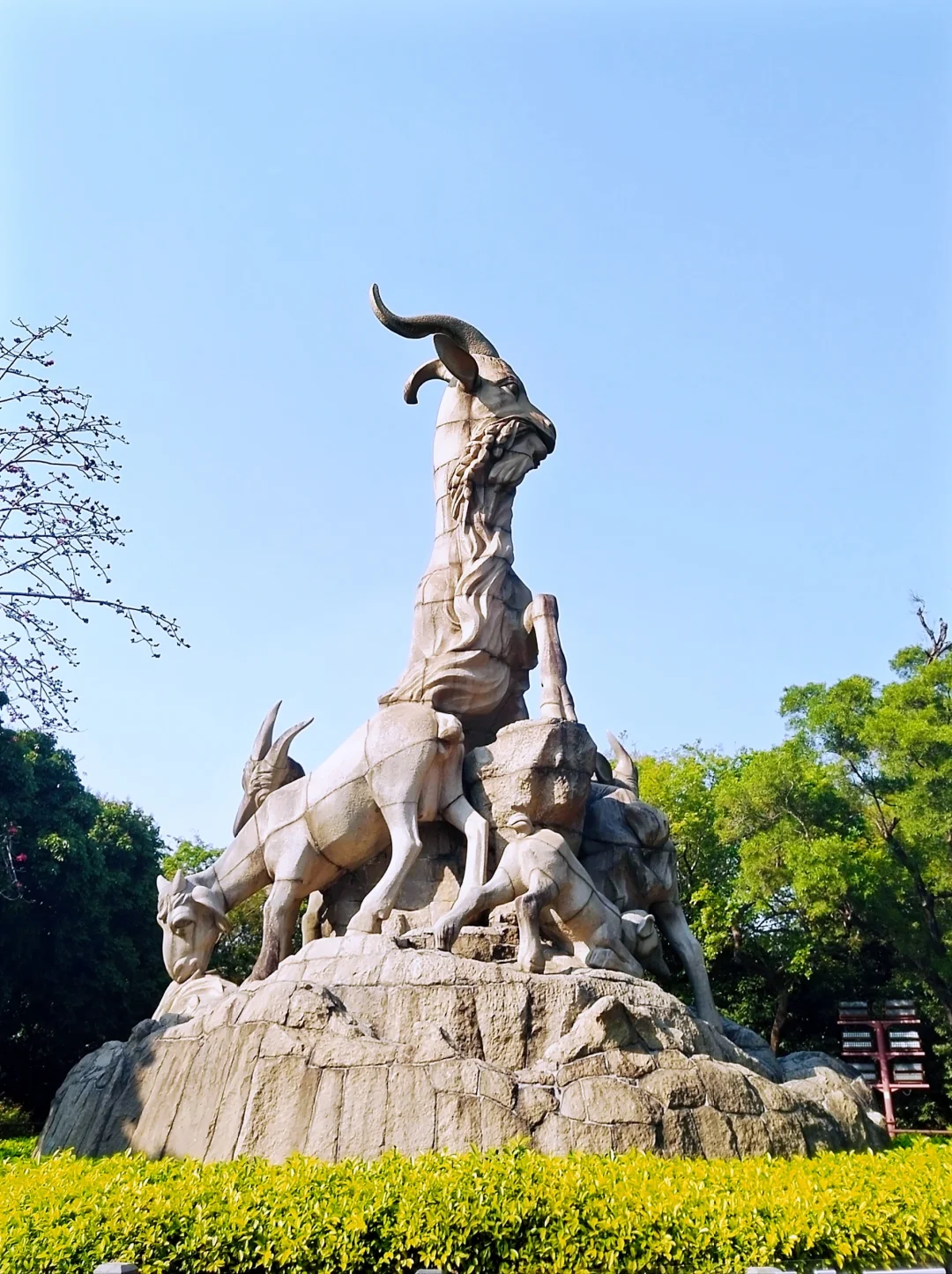 00000000RxaxfxIvZgibDFAD