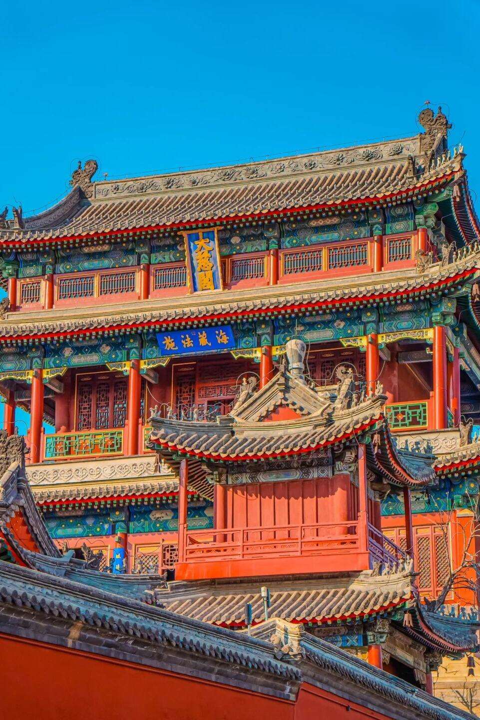 00000000SNeaDeAkDflveZfR