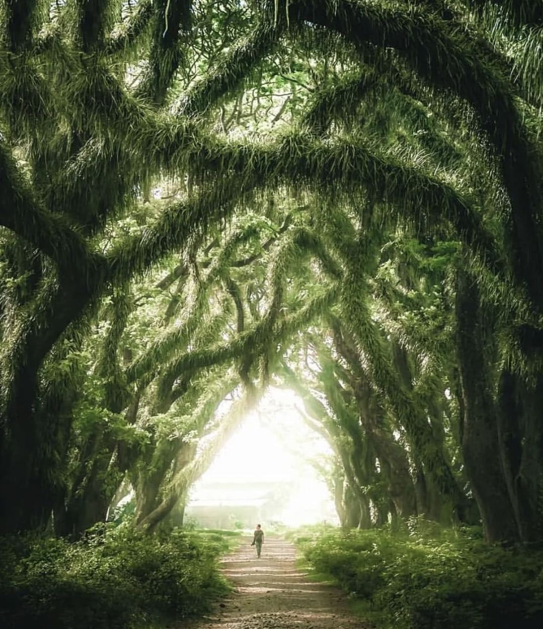 00000000SbZeNQCfQQcTQUAW 00000000SbZeNQCfQQcTQUAW