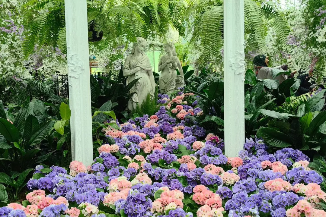 00000000SzyrFEZhJwGaaqiP