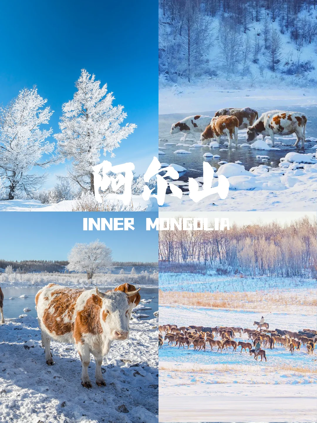 00000000TCPlFTeaBFRmSDvt 00000000TCPlFTeaBFRmSDvt