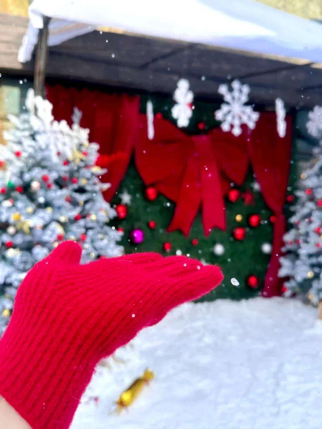 00000000TPTulEgdUgDGsXEo