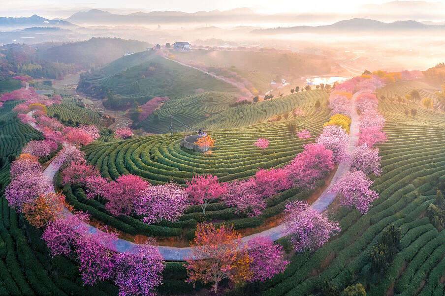 00000000UInmgagxGwujXJuh