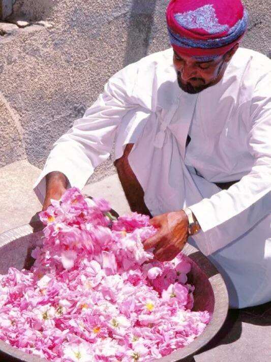 00000000UWlxqRNaBIuykSvK 00000000UWlxqRNaBIuykSvK