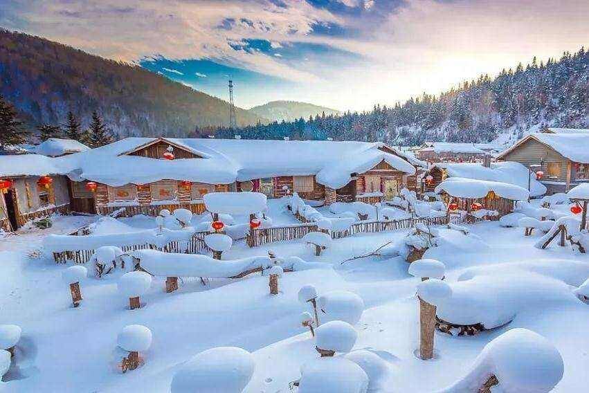 00000000VBLUnGiXoSyOMVLk