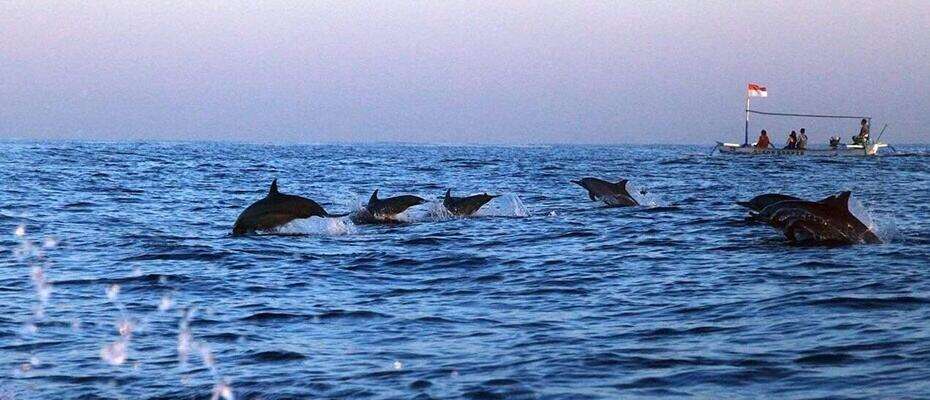 00000000VKmYAHDIsTperWtn