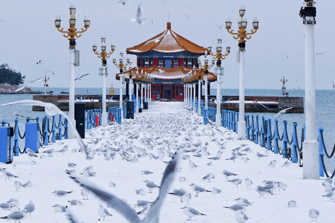 00000000VOzTfkHlFNxPSuxi