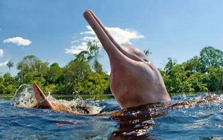 00000000WDVeuDobrNhrfEOt