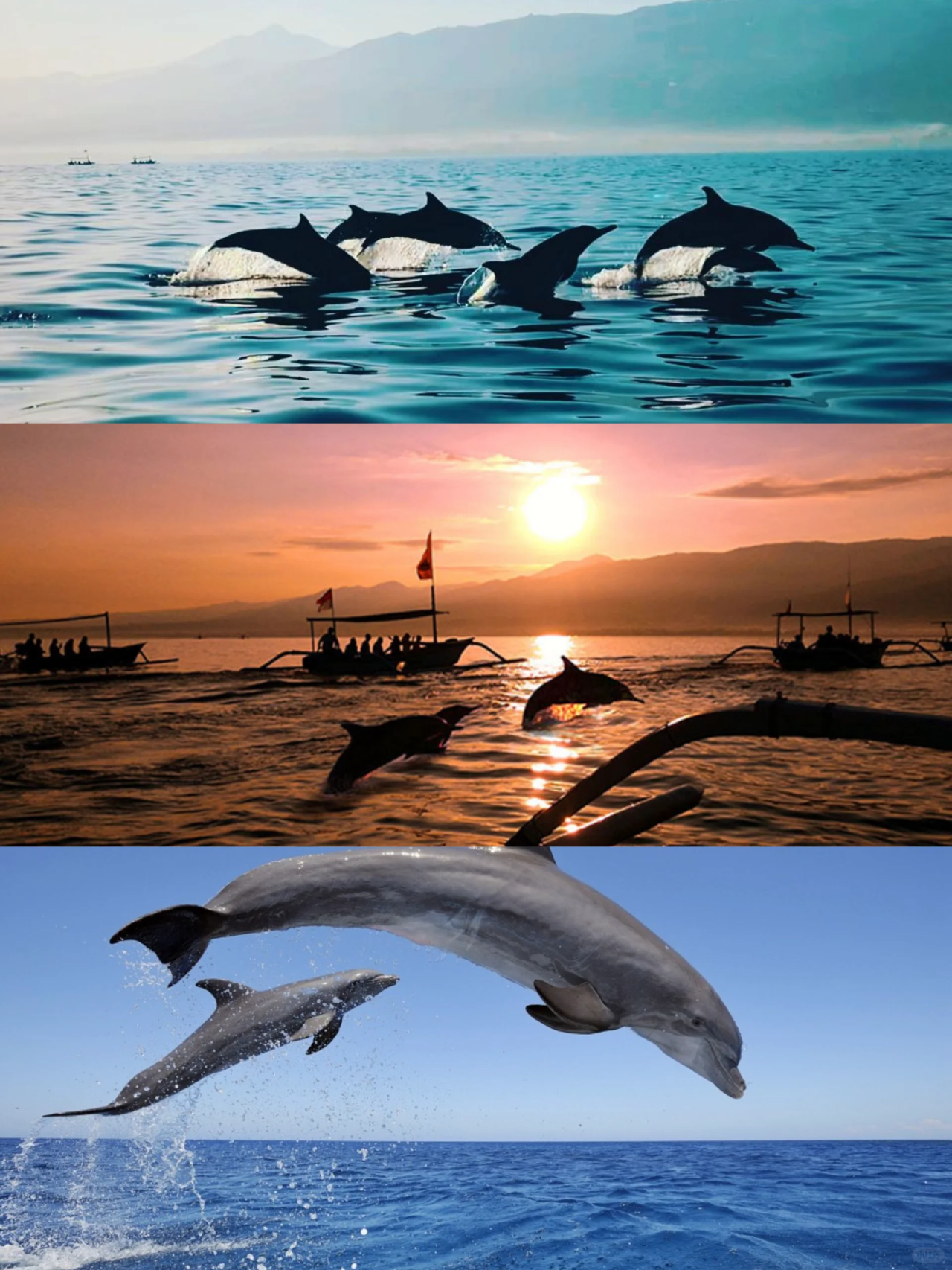 00000000WHHXqYzmkhDsANWm 00000000WHHXqYzmkhDsANWm