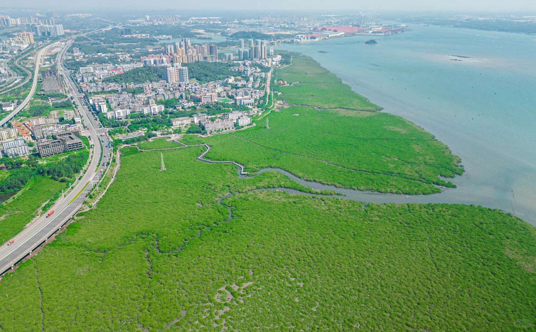 00000000WHddfLKAddnTHLBo