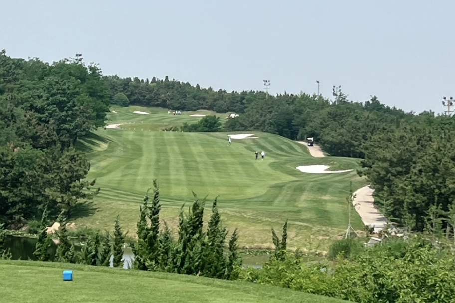 00000000WZVchIpIeQhEabCy