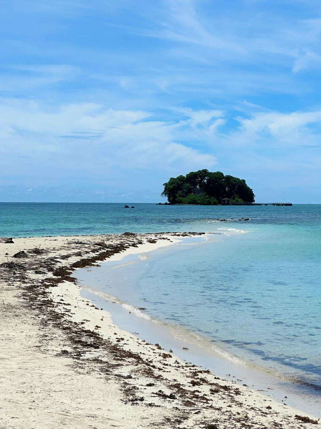 00000000WbKVWHqddvizFOvZ