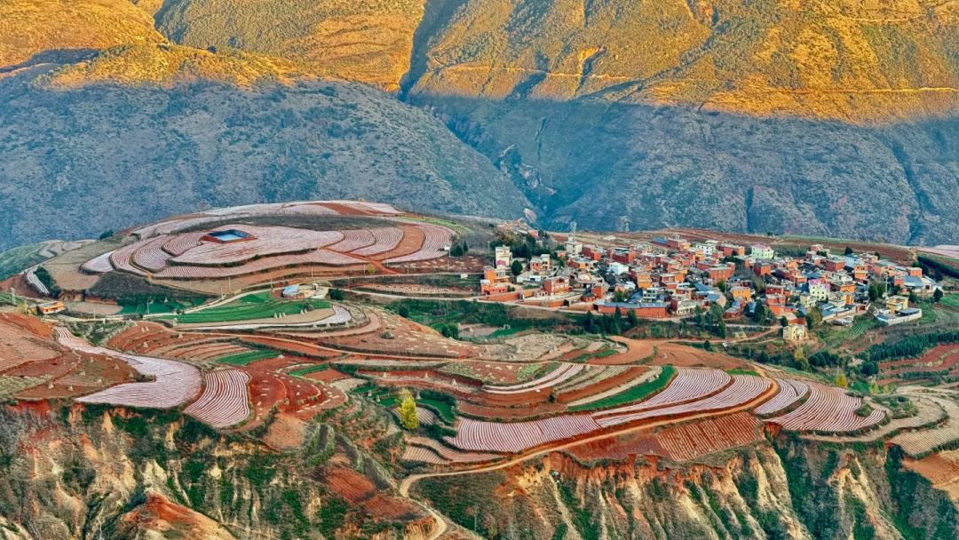 00000000WdPZFKwogPUInDbt