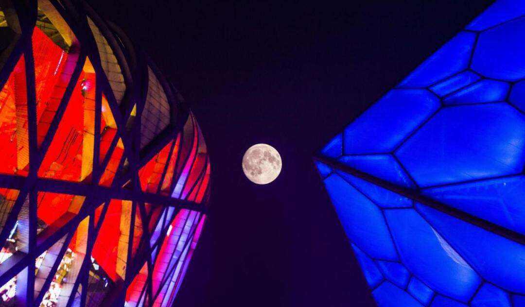 00000000XCqfTCLLOYJSlsmf