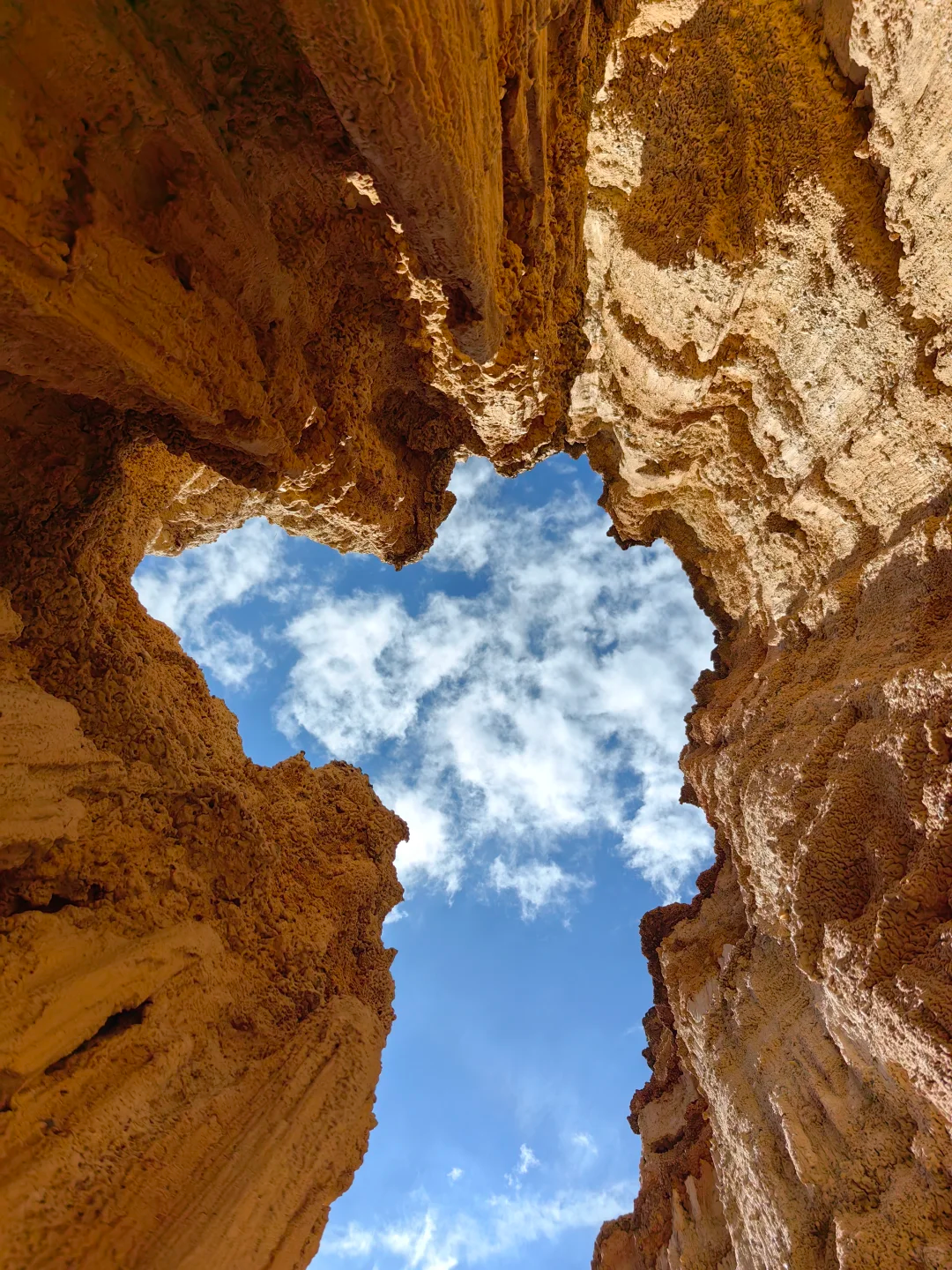 00000000XVPqLAkHgHgMElwt