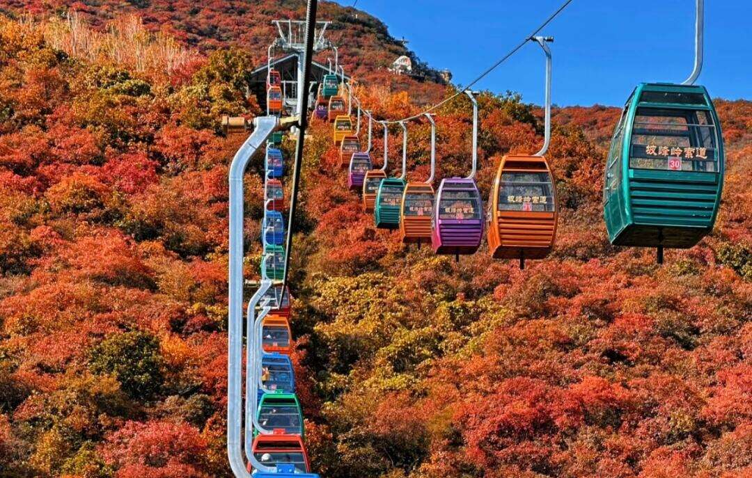 00000000XeSKbYXJtOzxRLBc