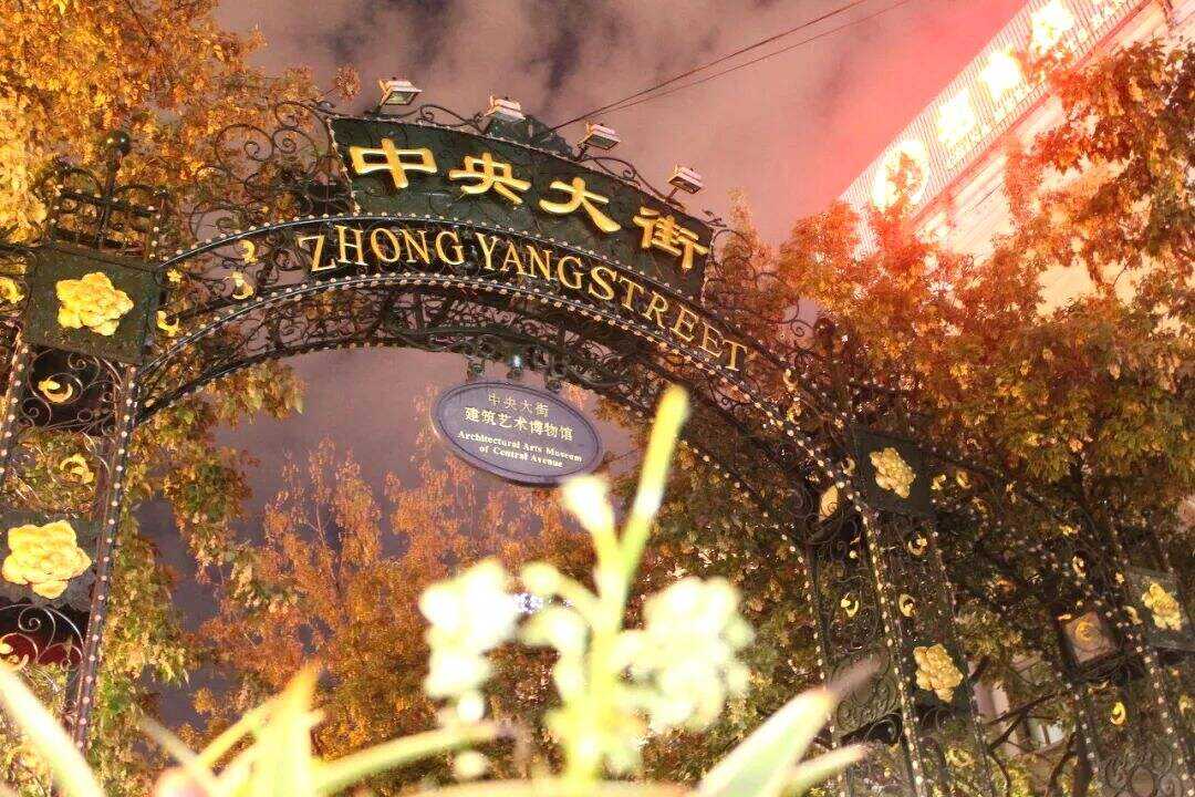 00000000YuJywSXxwIZrSHKQ