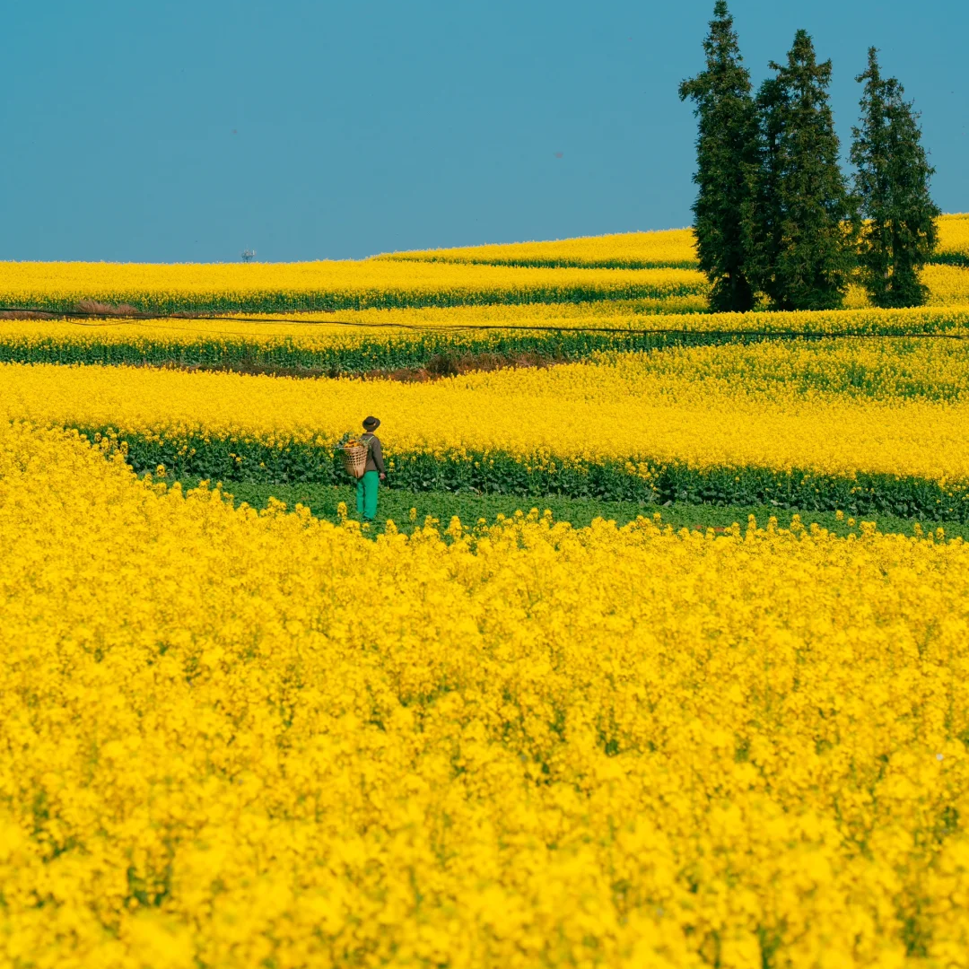 00000000aFjIxfTNtzRyItnH