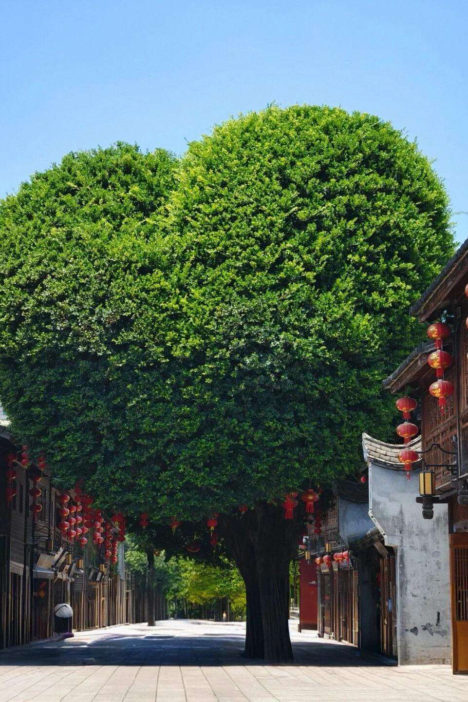 00000000aHwAQwhugzBfshHS