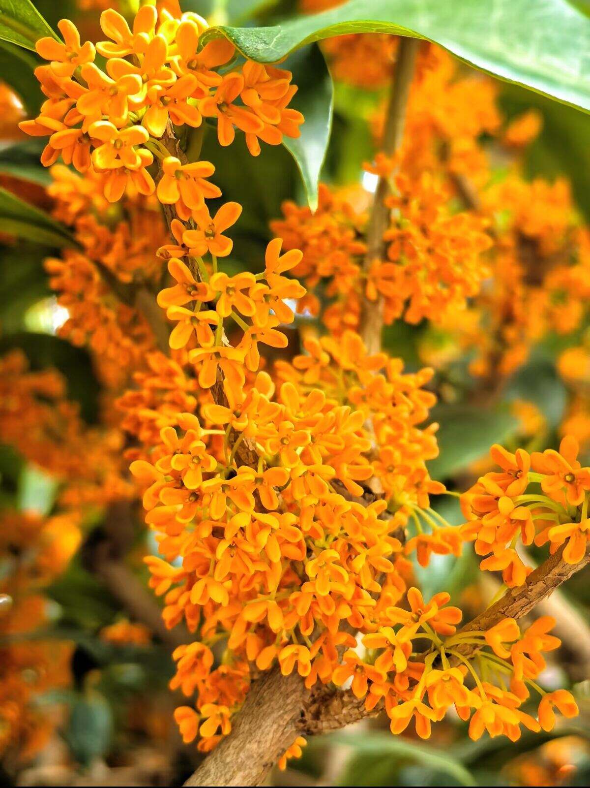 00000000aRQvUwvzXwdbFoAF