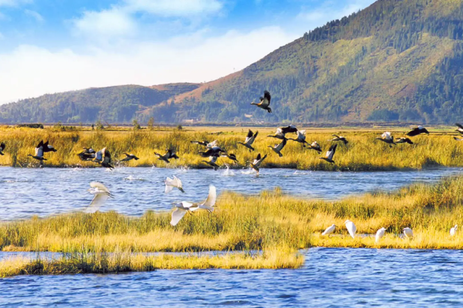 00000000aeAbUixSqhzLRqZo