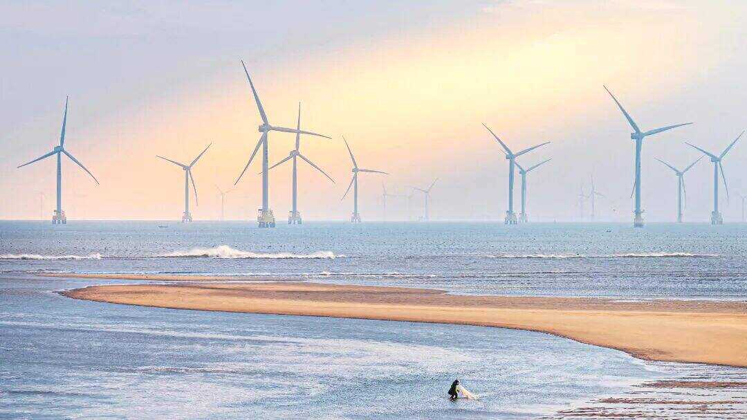 00000000ajiMSaCcFcZYSHVG