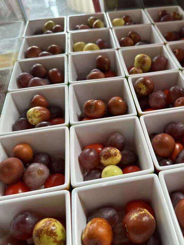 00000000bGImCGztUZuvrTqU 00000000bGImCGztUZuvrTqU