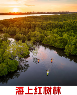 00000000bTHyfciBwaczCqxN