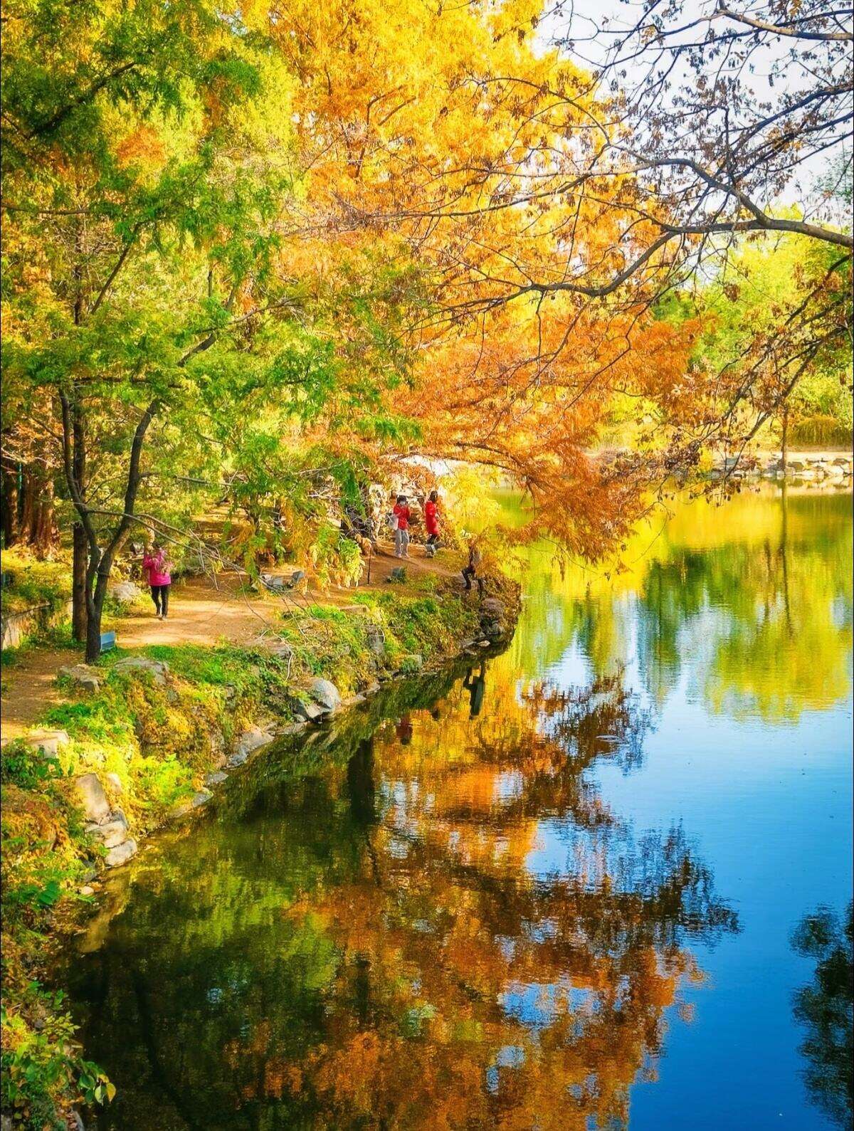 00000000bWRjFtdTRHEKocEk-1