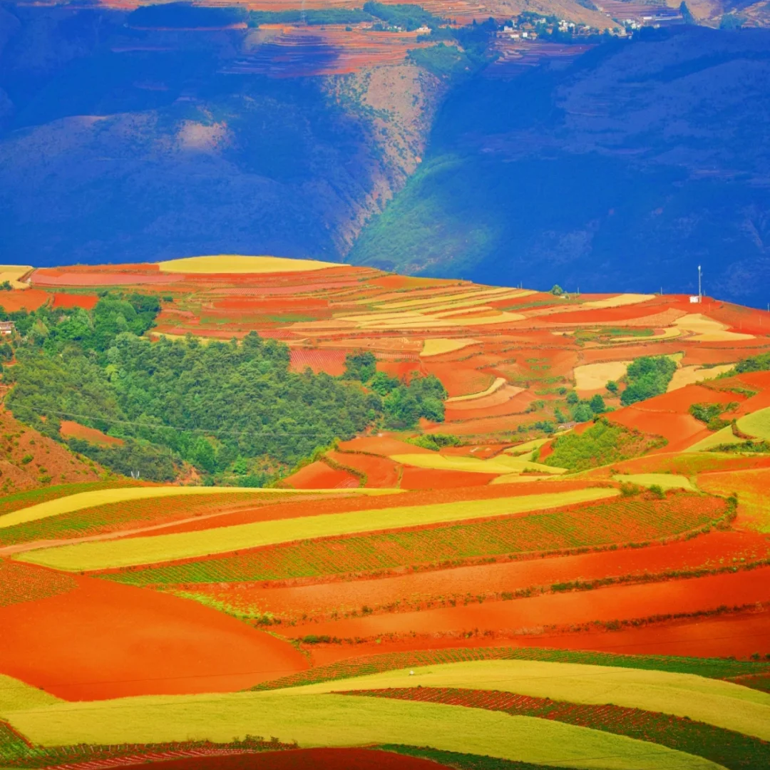 00000000bmBNkROEoPCxZeuj