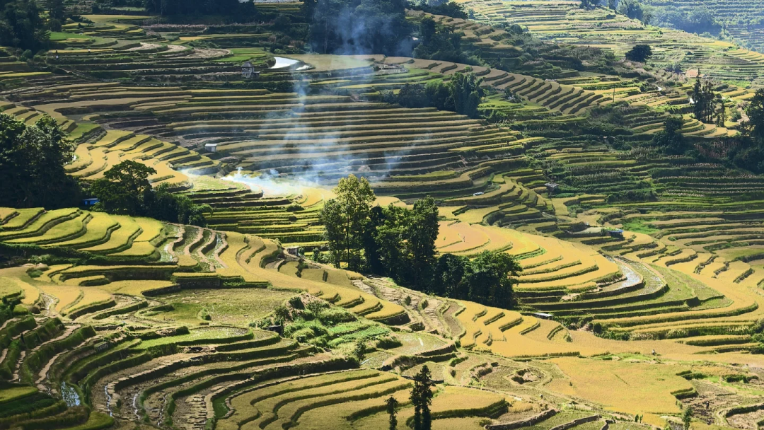 00000000cCvldPnfYHRYjMTm